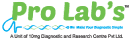 Prolabs-Logo
