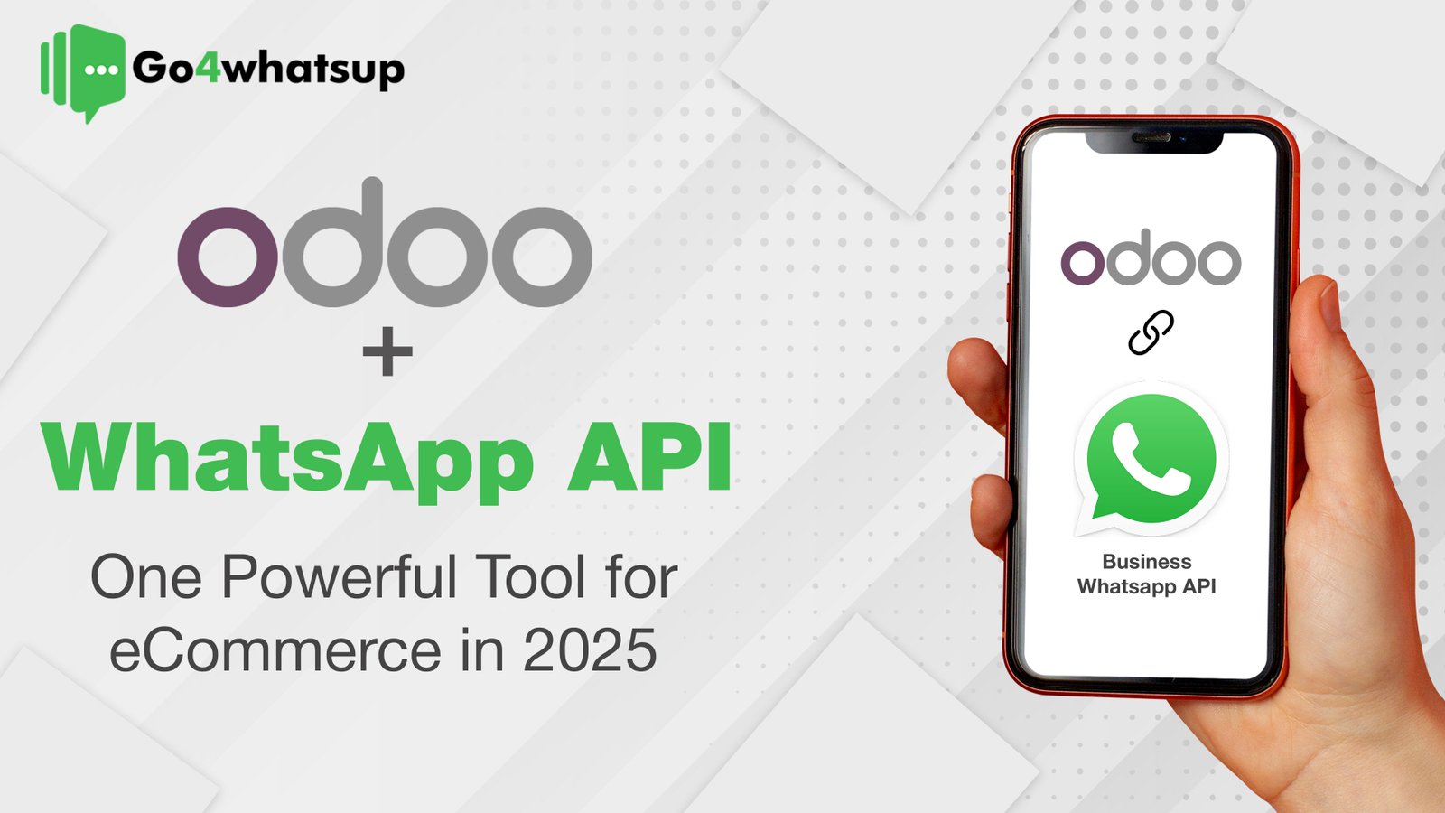 odoo plus whatsapp api