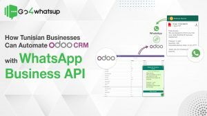odoo crm with whatsapp api